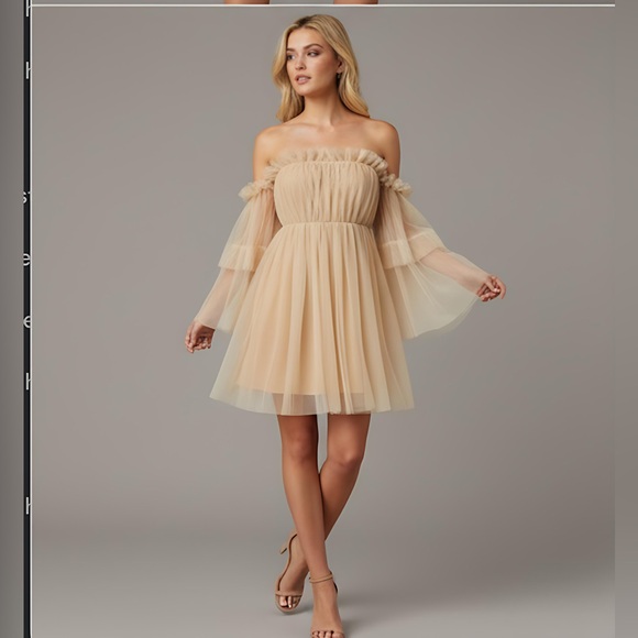 Off Shoulder Ruffle Mesh Dress - Picture 2 of 8